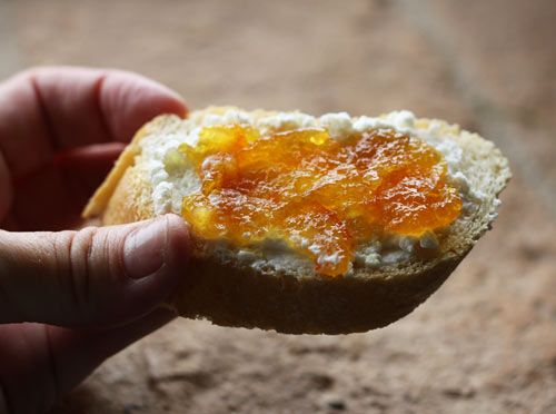 Orange Marmalade With Campari