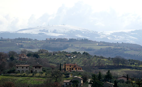 Winter in Umbria ~ Weeks 4 & 5