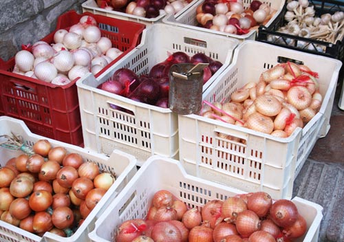 Festa della Cipolla in Cannara