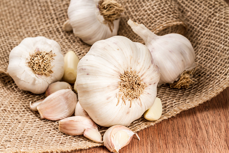Featured Ingredient ~ Glorious Garlic