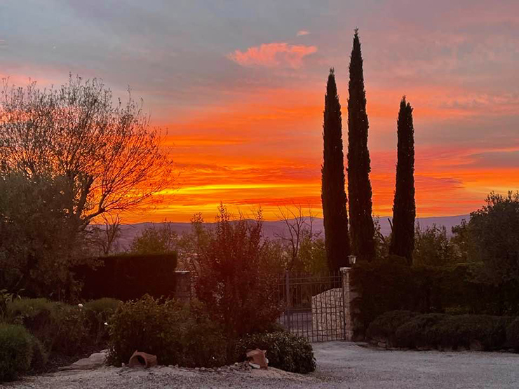 Friday Photos {October 22nd, 2021}