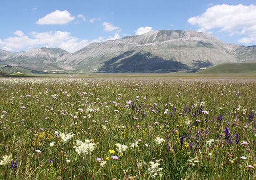 The Splendor of Piano Grande & The Sibillini Mountains