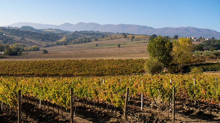 Friday Photos ~ October 26th, 2018 ~ Umbria & Le Marche