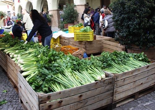 The Black Celery Festival of Trevi